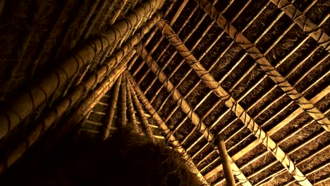 Nahaufnahme-von-dem-Dach-einer-Hütte-aus-dem-inneren-in-Machu-picchu