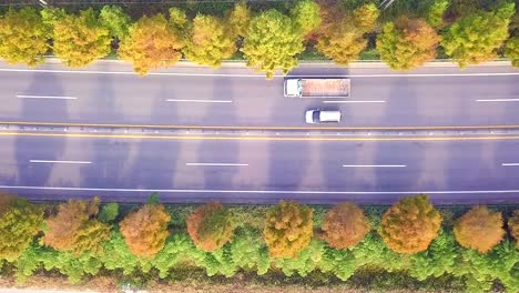 Vista-de-ángulo-alto-el-camino-en-otoño-Corea-del-sur