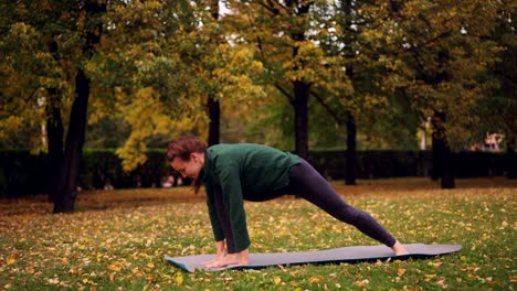 Fröhliche-Junge-Frau-tut-Yoga-Gleichgewichtsübungen-im-individuellen-Training-im-Stadtpark-auf-der-Matte-stehen-und-genießen-Sie-Ruhe-und-Natur.-Menschen-und-Sport-Konzept.