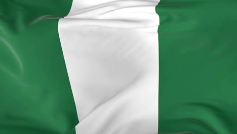 agitando-coloca-bandera-como-fondo-de-Nigeria