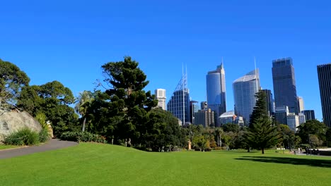 Toma-panorámica-de-los-edificios-de-la-ciudad,-Royal-Sydney-jardín-botánico-(4-k-UHD-a/HD)