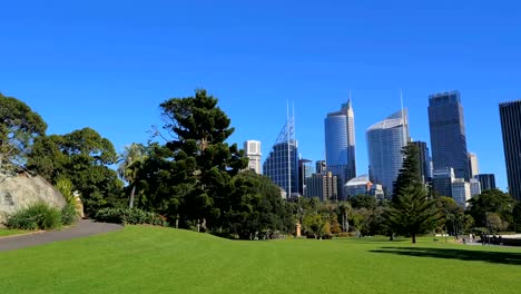 Panning-shot-of-Sydney-City-Skyline,-Royal-Botanic-Garden-(4K/UHD-to-HD)