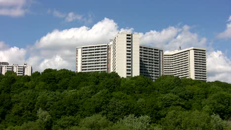 Blanco-verde-apartamento-con-palmeras.