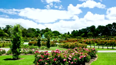 Jardín-de-las-rosas