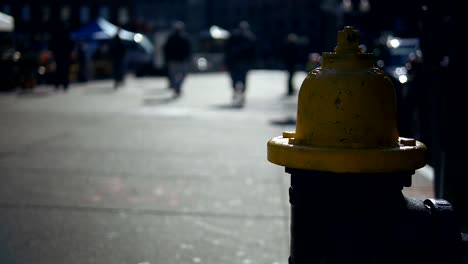 Fußgänger-vorbei-an-Hydrant-und-Markt-in-Boston