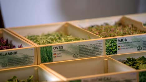 Woman-looking-at-big-selection-of-herbs