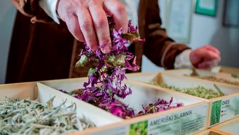 Caseras-en-la-tienda-de-té-en-el-campo