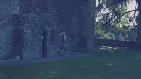 4k-Medieval-Shot-of-Style-Queen-Posing--in-Castle