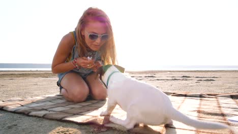 stilvolle-junge-Hipster-spielenden-Hund-Welpen-jack-Russell-am-Strand,-Slow-motion