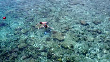 v04069-Aerial-flying-drone-view-of-Maldives-white-sandy-beach-2-people-young-couple-man-woman-snorkeling-swimming-diving-on-sunny-tropical-paradise-island-with-aqua-blue-sky-sea-water-ocean-4k