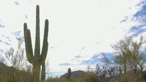 Establecimiento-de-tiro-del-Desierto-Sonorense