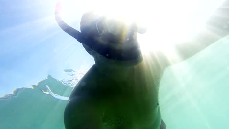 Underwater-view-of-snorkeling-men-in-Caribbean-sea,-uhd-shoot