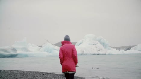 Vista-trasera-del-atractivo-joven-caminando-en-la-laguna-de-hielo.-Mujer-pensativa-explorando-la-famosa-vista-en-Islandia-solamente