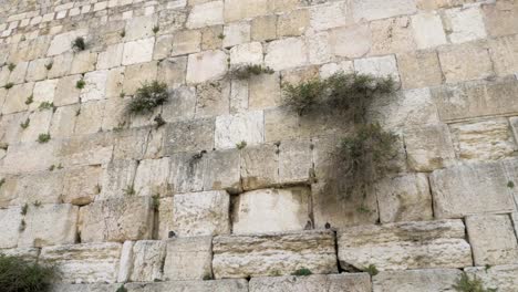 Vista-de-un-occidental-de-la-pared-de-Jerusalén.-Israel.