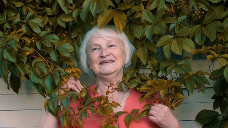 Happy-senior-woman-posing-in-green-leaves-near-wall