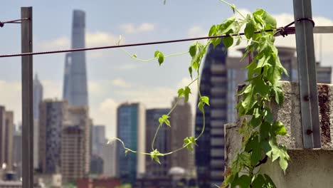 Fantastischen-Blick-über-Shanghai-Stadtzentrum-entfernt-im-Juli-2018.