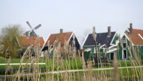 Traditional-dutch-village