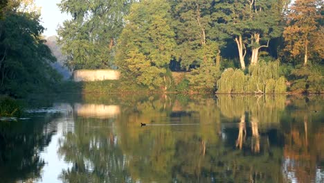 Guerra-mundial-una-en-Bélgica:-otoño-hoy,-Ypres-alrededor-de-las-murallas-a-pie-camino