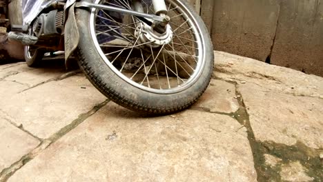 Small-asian-mangoose-tears-paper-under-weel-of-motobike-on-pavement-of-Varanasi