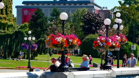 Hanging-Flower-Baskets,-Downtown-Victoria-Tourists