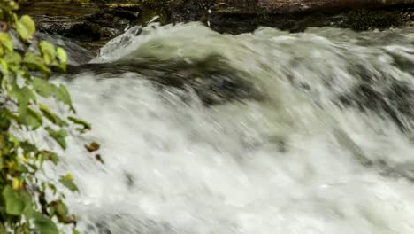 Close-up-Top-von-Looking-Glass-Falls,-Blue-Ridge-Mountains,-NC