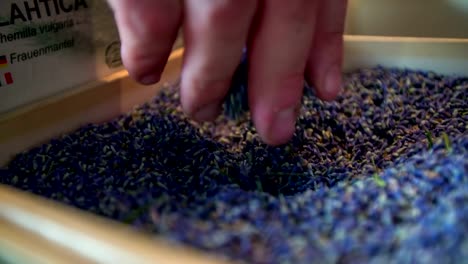 Man-mixing-the-blue-herb-in-small-wooden-box