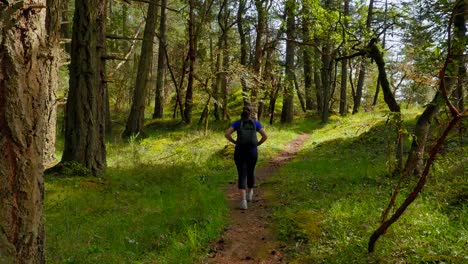 Sporty-Woman-Walks-along-Path-in-Lush-Green-Forest