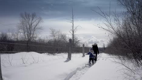 Schneeschuhe-Winter-in-ontario-4-k-video