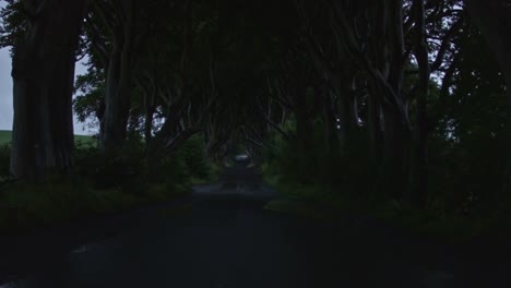 4k-Horror-tiro-de-setos-oscuros-en-día-de-lluvia-con-una-criatura-lejos,-Irlanda-del-N.