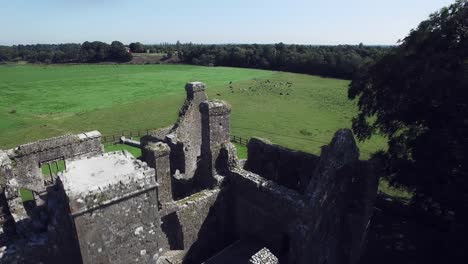 4-k-mittelalterlichen-Shot-of-Style-Queen-posiert-in-Burg