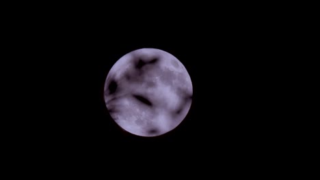 Full-moon-rising-from-behind-trees