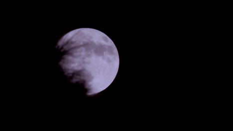 Full-moon-rising-from-behind-trees