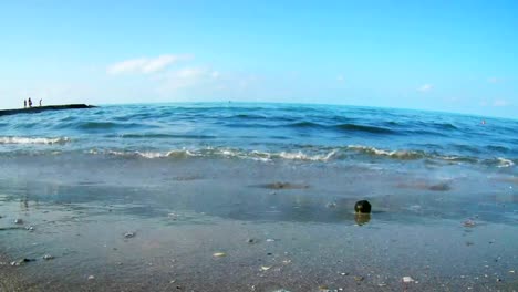 Beine-nur-ethnische-Mädchen-barfuß-entlang-nassen-Sandstrand-neben