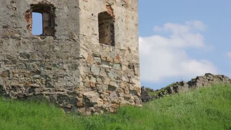 Pared-de-la-antigua-fortaleza