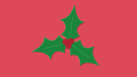 Holly-bush-festive-christmas-icon-Animation