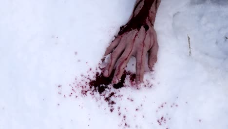 Hand-in-Blut-auf-Schnee-bedeckt.