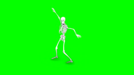 Skeleton-dancing-on-an-isolated-green-background,-seamless-loop-animation