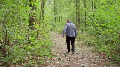 Zombies-are-walking-through-the-woods.