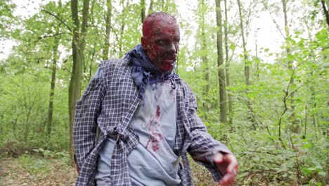 Zombies-sind-Fuß-durch-den-Wald.