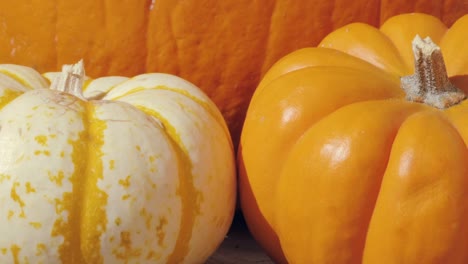 Macro-Dolly-in-Towards-Fall-Pumpkins