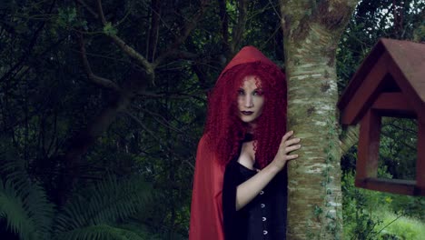 4k-Halloween-Shot-of-Red-Riding-Hood-Hiding-above-Tree