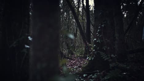 4K-Horror-Atomwissenschaftler-Zombie-im-Wald-stehen