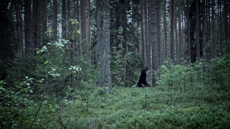 4K-Halloween-Horror-Mann-zu-Fuß-In-Wald-mit-schwarzen-Umhang