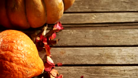 Calabaza-de-Halloween-con-la-hoja-de-arce-en-una-mesa-de-madera-4k