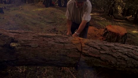 woodcutter-trees-cut-in-Alta-Badia,-Dolomites