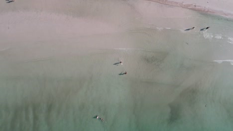 Touristen-sind-an-einem-wunderschönen-Strand-ausruhen.