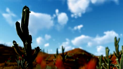 Saguaro-Cactus-en-el-desierto-contra-nubes-de-timelapse,-alejar