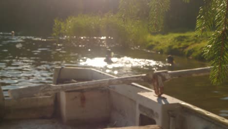 niños-de-la-anónima-en-el-lago,-salpicando-agua,-verano,-hora-dorada,-en-el-paraíso