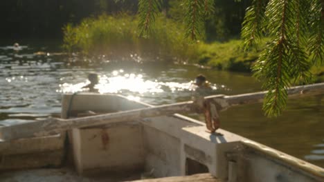 niños-de-la-anónima-en-el-lago,-salpicando-agua,-verano,-hora-dorada,-en-el-paraíso