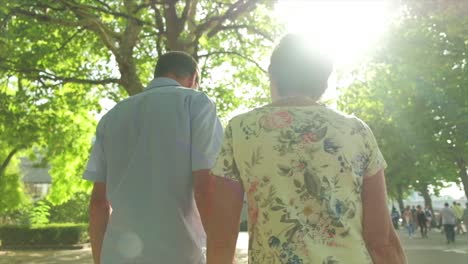 Back-view-of-an-active-tourist-couple-walking-in-london